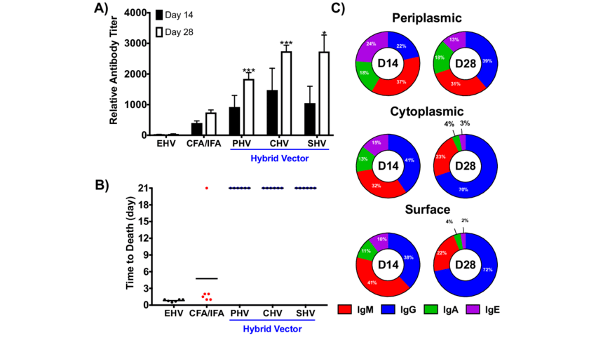 850x485 Effect Of Pspa Localization On Hybrid Vector Immunogenicity