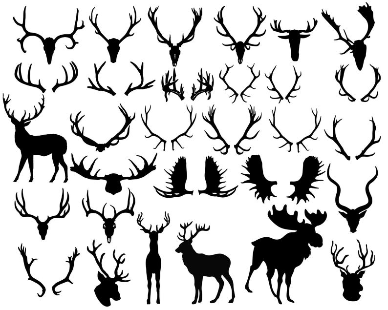 794x635 Antler Silhouette Antler Clipart Animal Clip Art Deer Horn Etsy