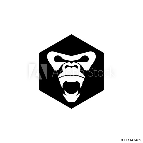 Gorilla Head Vector, Monkey Head Vector, Ape Face Logo 500x500 Gorilla Head Vector, Monkey Head Vector, Ape Face Logo