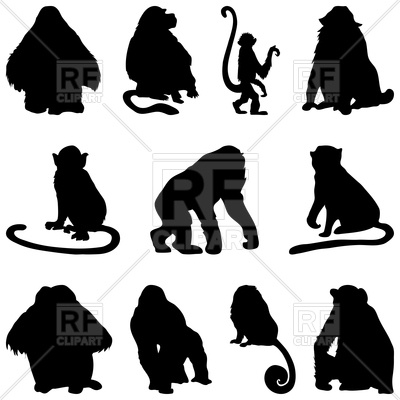 Collection Of Apes Silhouettes Vector Image Of Plants And Animals 400x400 Collection Of Apes Silhouettes Vector Image Of Plants And Animals