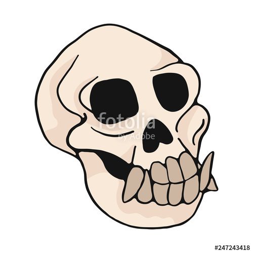 Animal Monkey Skull Cartoon Vector Illustration Motif Set Hand 500x500 Animal Monkey Skull Cartoon Vector Illustration Motif Set Hand