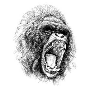 Free Vectors Vector Ape Illustration Chadlonius 300x300 Free Vectors Vector Ape Illustration Chadlonius