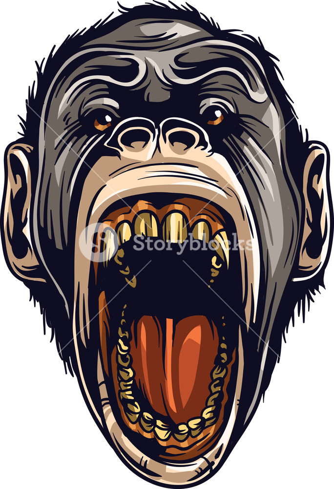 Vector Ape Royalty Free Stock Image 684x1000 Vector Ape Royalty Free Stock Image