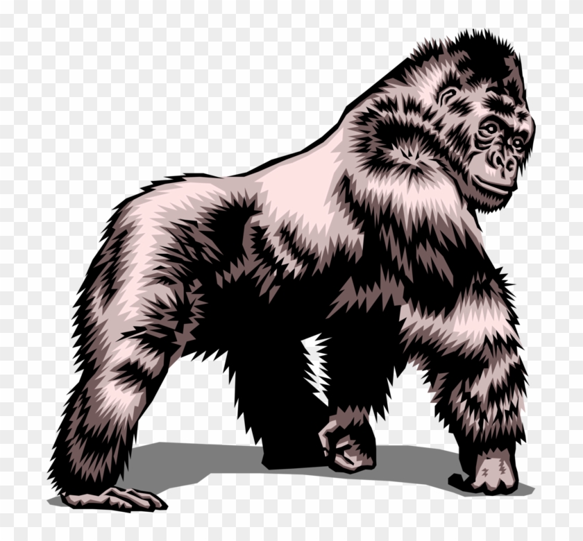Vector Illustration Of Herbivorous Ape Silverback Gorilla, Hd Png 840x780 Vector Illustration Of Herbivorous Ape Silverback Gorilla, Hd Png