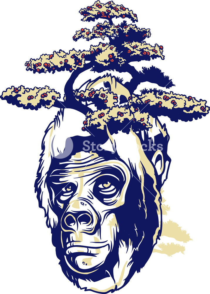Vintage Vector T Shirt Design With Ape Royalty Free Stock Image 716x1000 Vintage Vector T Shirt Design With Ape Royalty Free Stock Image