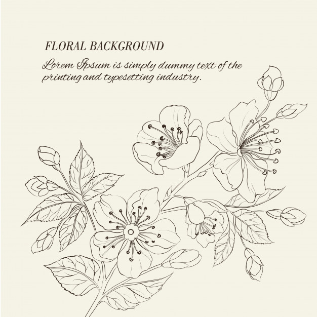 Apple Blossom Vectors, Photos And Free Download 626x626 Apple Blossom Vectors, Photos And Free Download