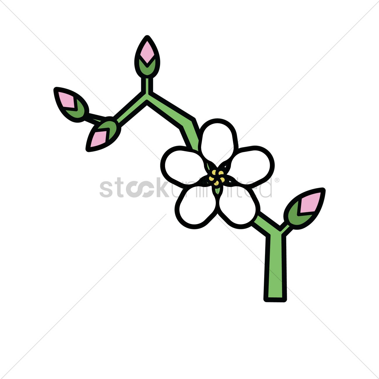 Apple Blossom Vector Image 1300x1300 Apple Blossom Vector Image