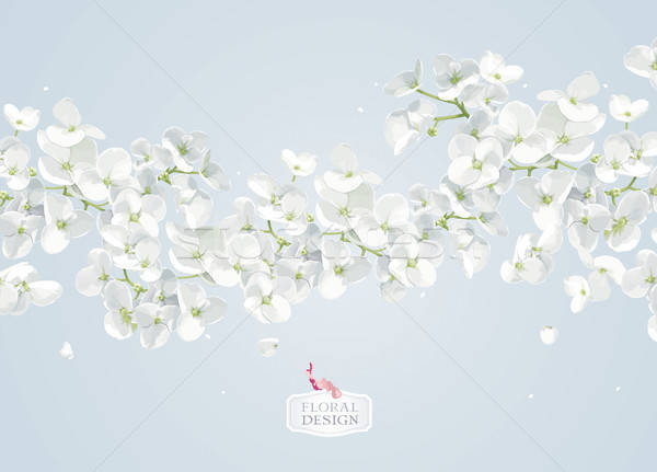 Apple Blossom Vector Background Vector Illustration Natalia 600x431 Apple Blossom Vector Background Vector Illustration Natalia