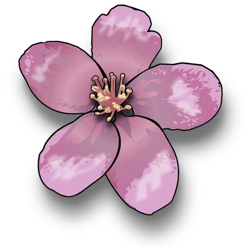 Apple Blossom Vector Clip Art 500x500 Apple Blossom Vector Clip Art