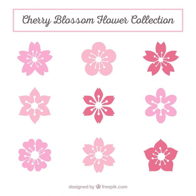 Blossom Vectors, Photos And Free Download 626x626 Blossom Vectors, Photos And Free Download