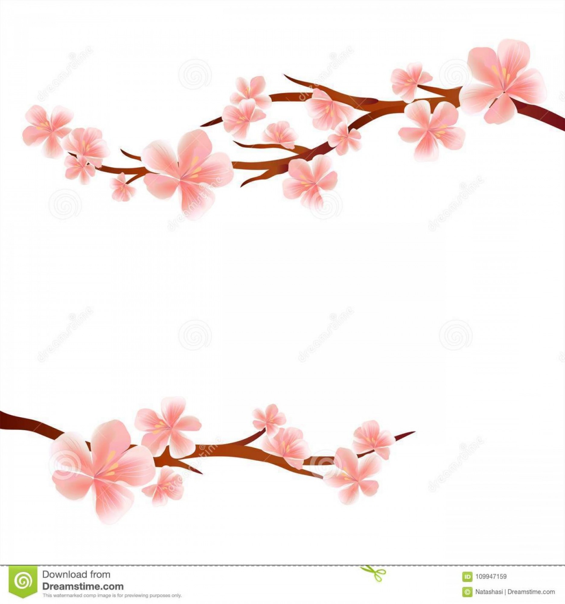 Branches Sakura Pink Flowers Isolated White Background Apple Tree 1872x2001 Branches Sakura Pink Flowers Isolated White Background Apple Tree