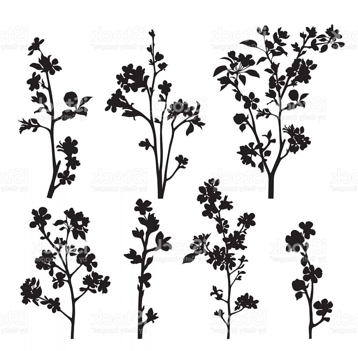 Silhouettes Of Apple Blossom Branches On White Background Gm 1228x1206 Silhouettes Of Apple Blossom Branches On White Background Gm