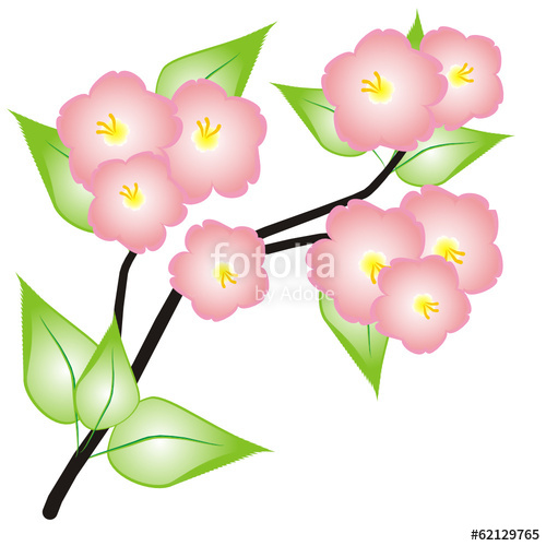 Apple Blossom Vector Drawing Stock Image And Royalty Free Vector 500x500 Apple Blossom Vector Drawing Stock Image And Royalty Free Vector