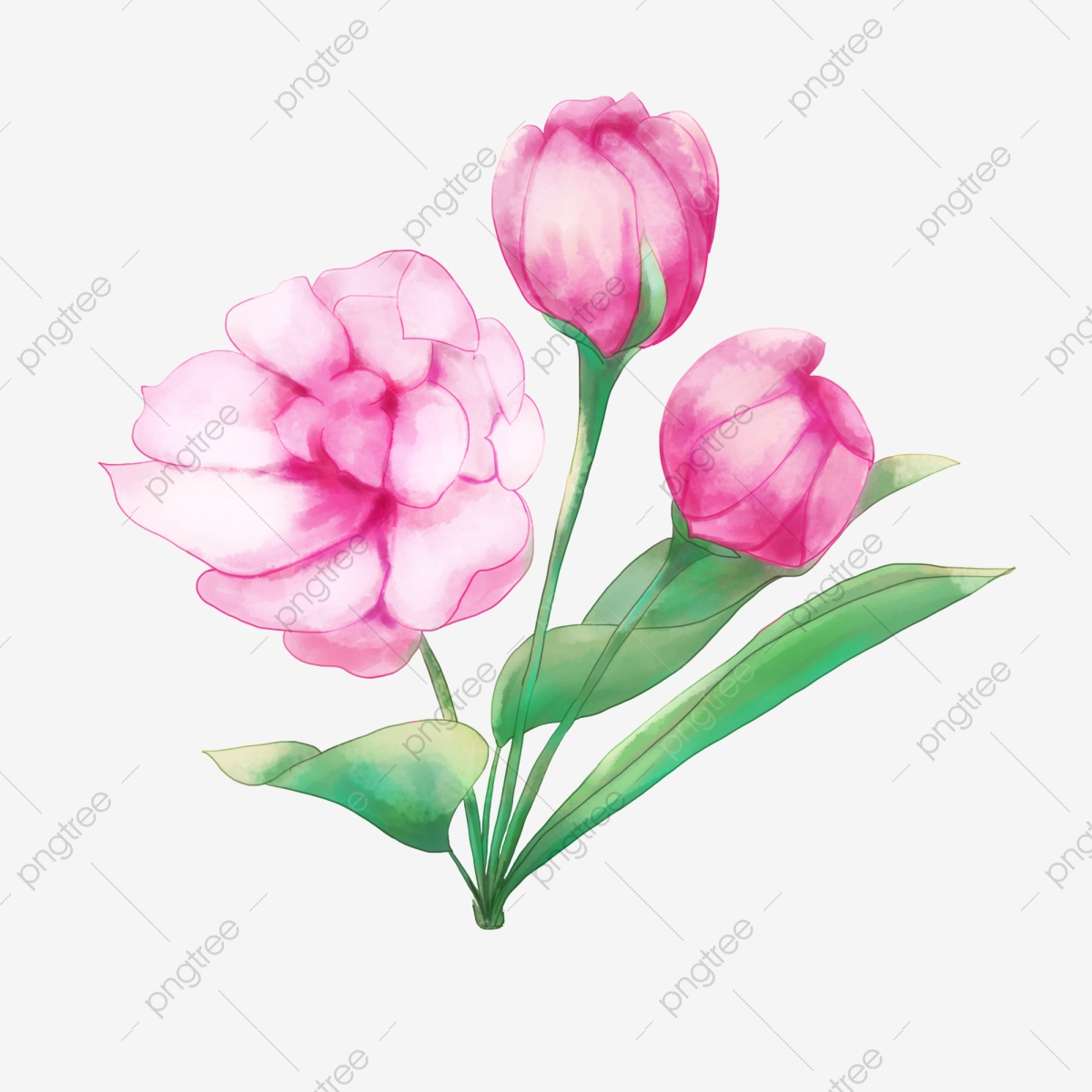 1200x1200 Apple Blossom Vector Material, Apple Tree, Flowering, Plant Png