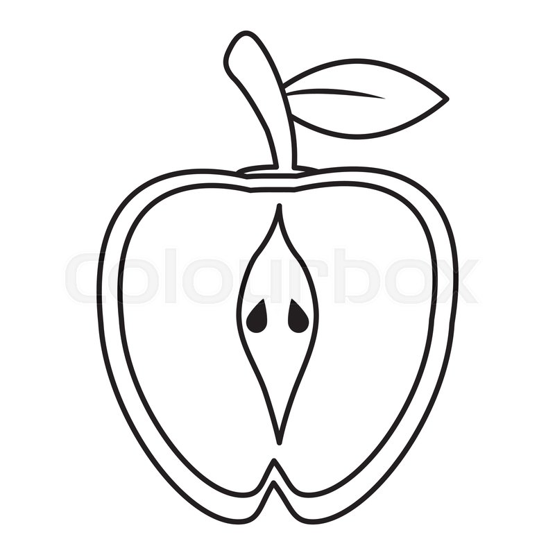 800x800 Half Apple Food Healthy Image Outline Stock Vector Colourbox