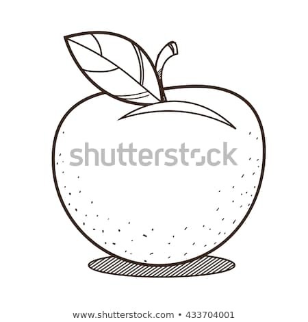 450x470 Apple Outline Drawing Coloring Fruit Logo Stock Vector Royalty