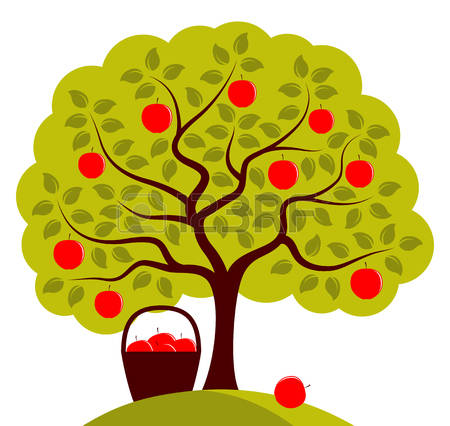 Apple Tree Vector