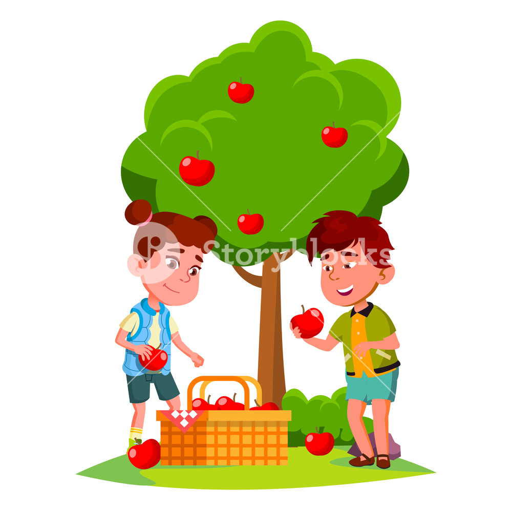 1000x1000 Kids Harvest Apples In Basket Near Apple Tree Vector Isolated