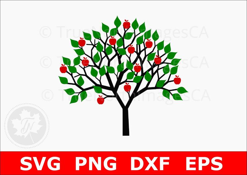 794x562 Apple Tree Tree Tree Clipart Tree Clip Art
