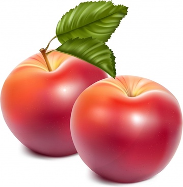 Apple Free Vector Download 359x368 Apple Free Vector Download