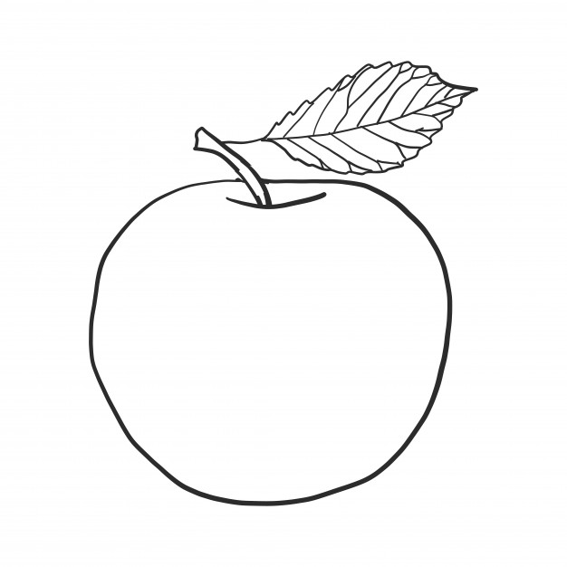 626x626 Doodle Apple Vector Vector Free Download