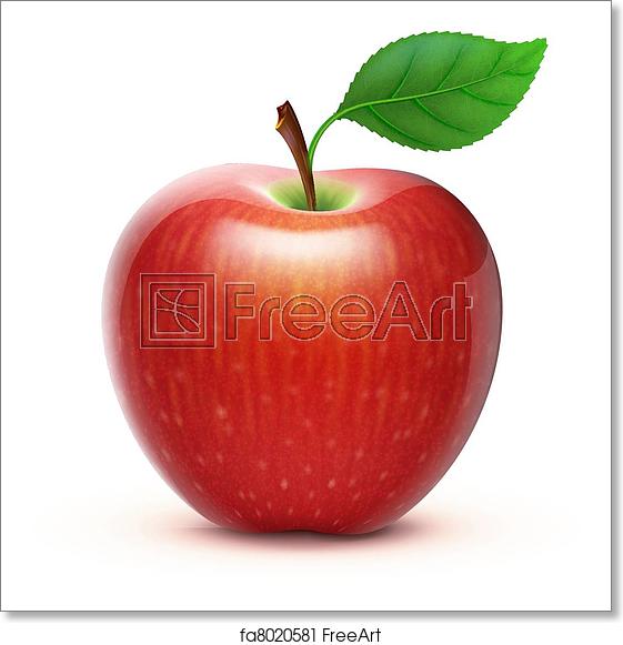 561x581 Free Art Print Of Red Apple Vector Illustration Of Detailed Big
