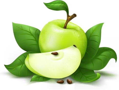 488x368 Green Apple Free Vector Download