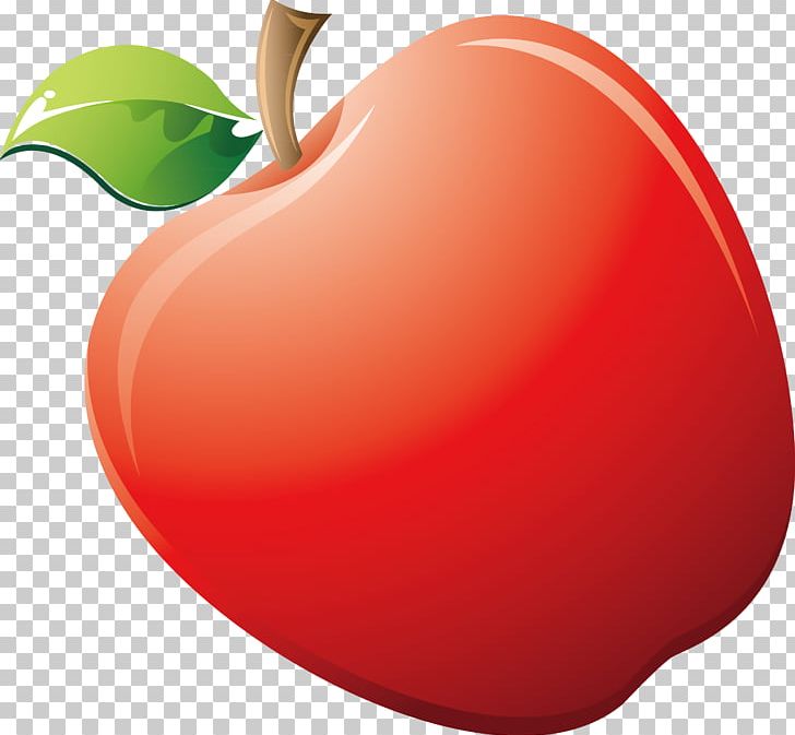 728x673 Apple Auglis Png, Clipart, Adobe Illustrator, Apple, Apple Fruit