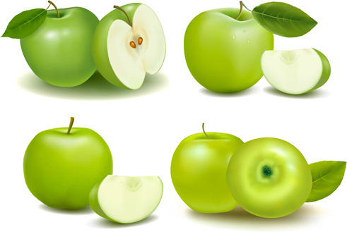 Green Apple Free Vector Download 491x329 Green Apple Free Vector Download