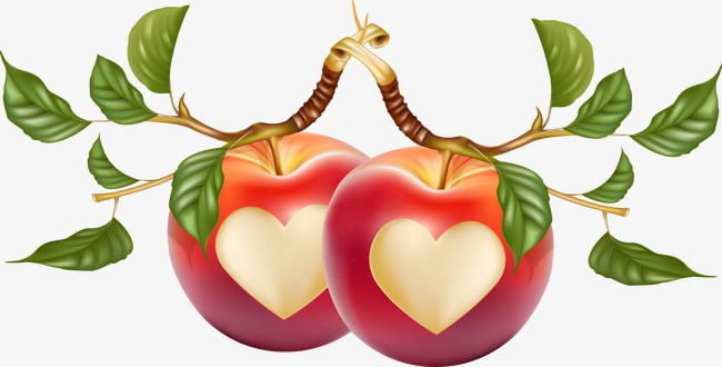Heart Shaped Apple Vector Free Graphics Uihere 650x330 Heart Shaped Apple Vector Free Graphics Uihere