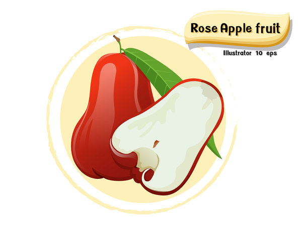 Rose Apple Fruit Illustration Vector Free Download 600x450 Rose Apple Fruit Illustration Vector Free Download
