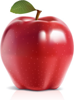 Red Apple Vector Free Vector Download 259x347 Red Apple Vector Free Vector Download