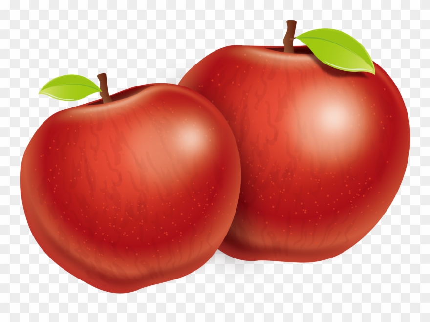 Great Download Tomato Apple Plum Two Fuji Vector Apples 880x659 Great Download Tomato Apple Plum Two Fuji Vector Apples