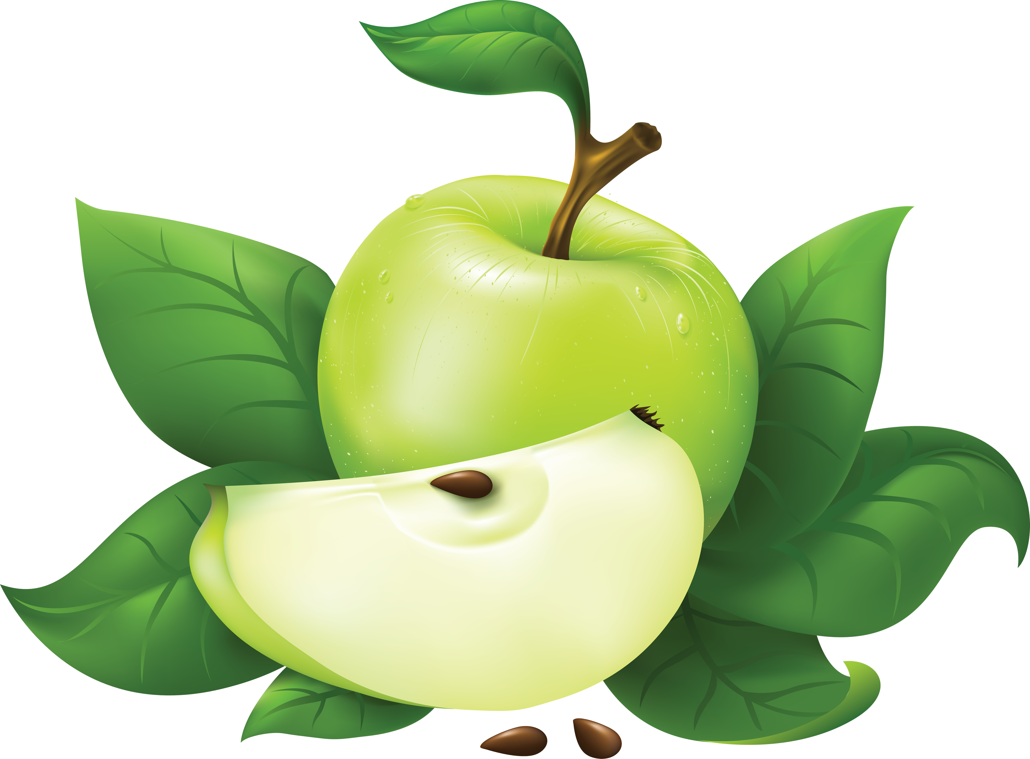 Clipart Apple Vector, Apple Clip Art, Apple 3497x2576 Clipart Apple Vector, Apple Clip Art, Apple