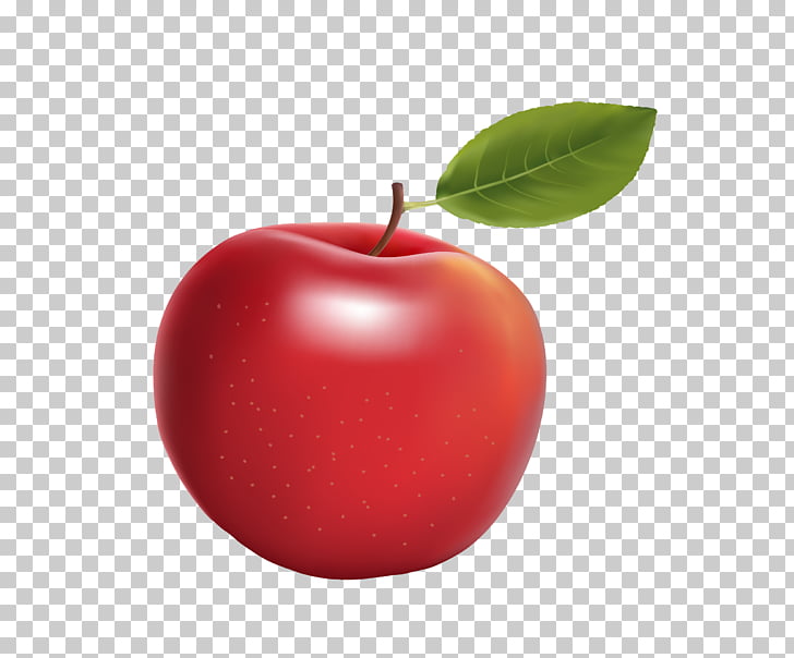 Red Big Apple, Red Realistic Big Apple Png Clipart Free Cliparts 728x604 Red Big Apple, Red Realistic Big Apple Png Clipart Free Cliparts