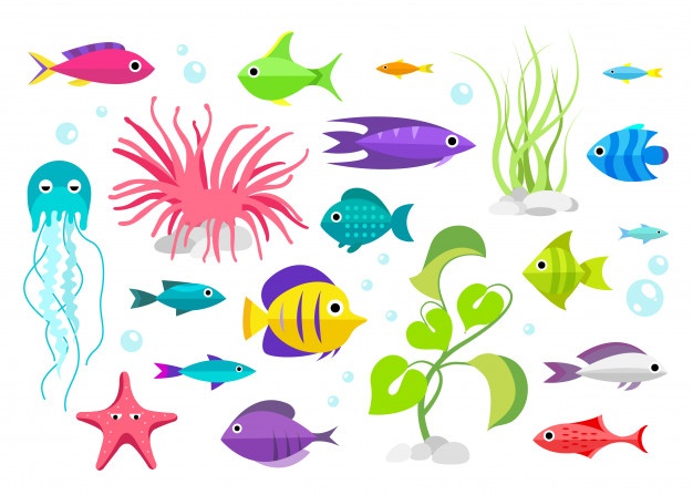 626x447 Aquarium Vectors, Photos And Free Download
