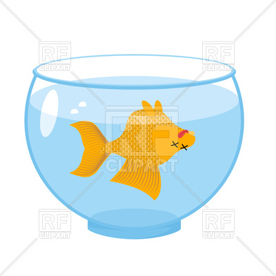 400x400 Dead Gold Fish In Aquarium Vector Image Of Plants And Animals