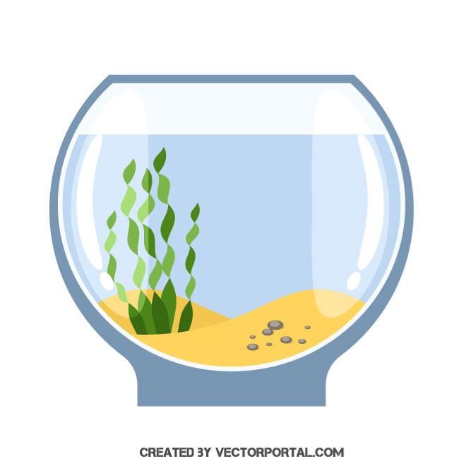 660x660 Empty Aquarium Vector Image Various Vectors Free Vector Images