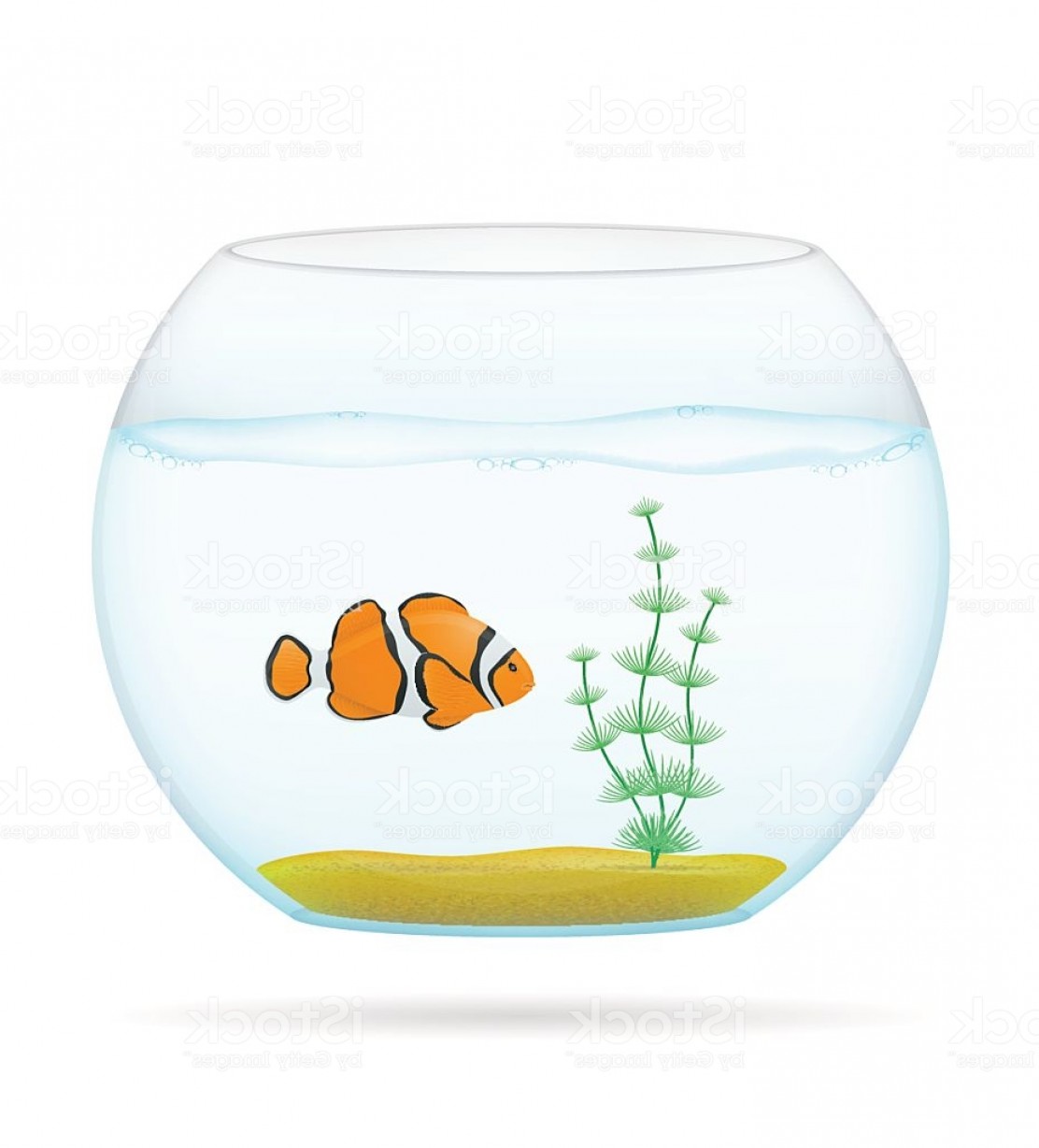 1112x1228 Fish In A Transparent Aquarium Vector Illustration Gm Hoodamathrun
