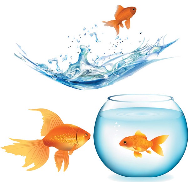 600x579 Goldfish And Aquarium Vector Material My Free Photoshop World