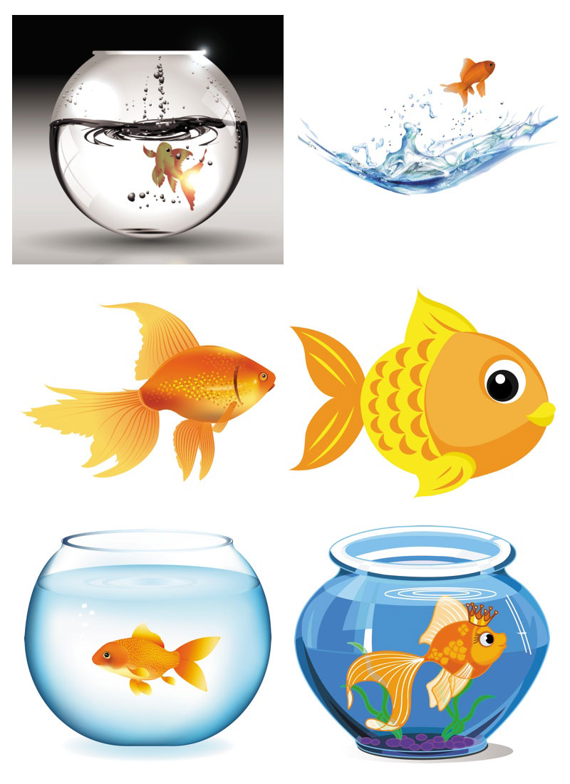 800x1100 Goldfish In Aquarium Vector Free Stock Vector Art