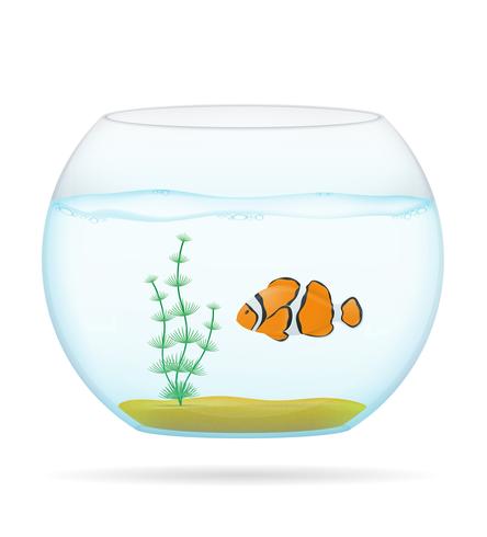 444x490 Fish In A Transparent Aquarium Vector Illustration
