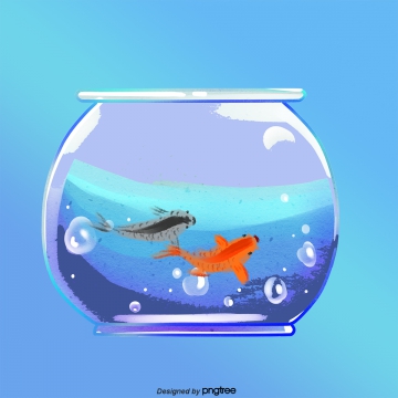 360x360 Aquarium Vector Png, Vector, And Clipart With Transparent