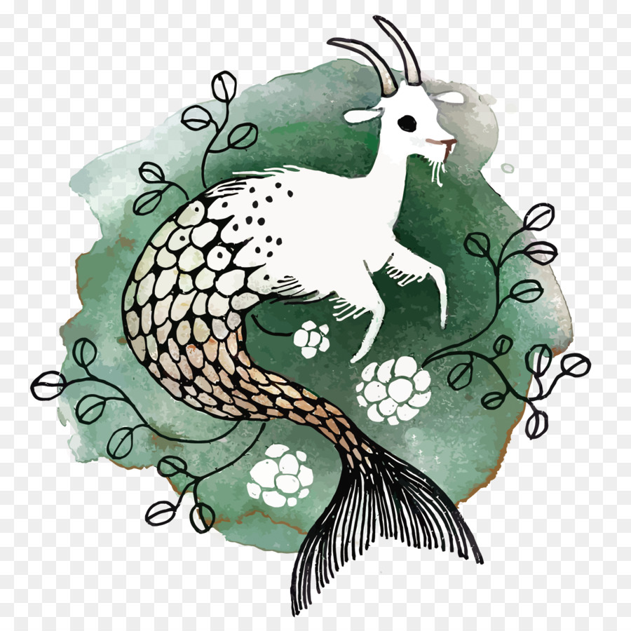 900x900 Download Capricorn Astrology Horoscope Zodiac Aquarius Vector