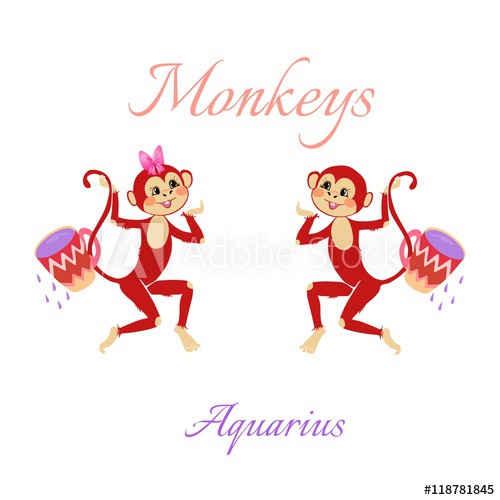 500x500 Funny Horoscope With Cute Monkeys Zodiac Signs Aquarius Vector