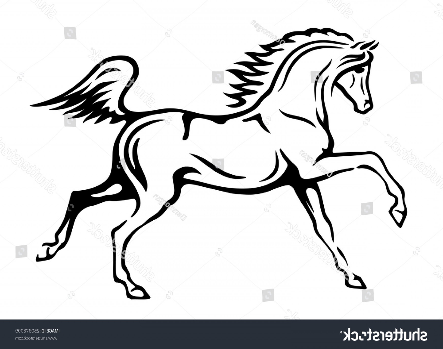 1800x1419 Black White Vector Outlines Arabian Horse Cqrecords
