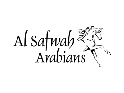 400x300 Horse Logo Of An Arabian Horse