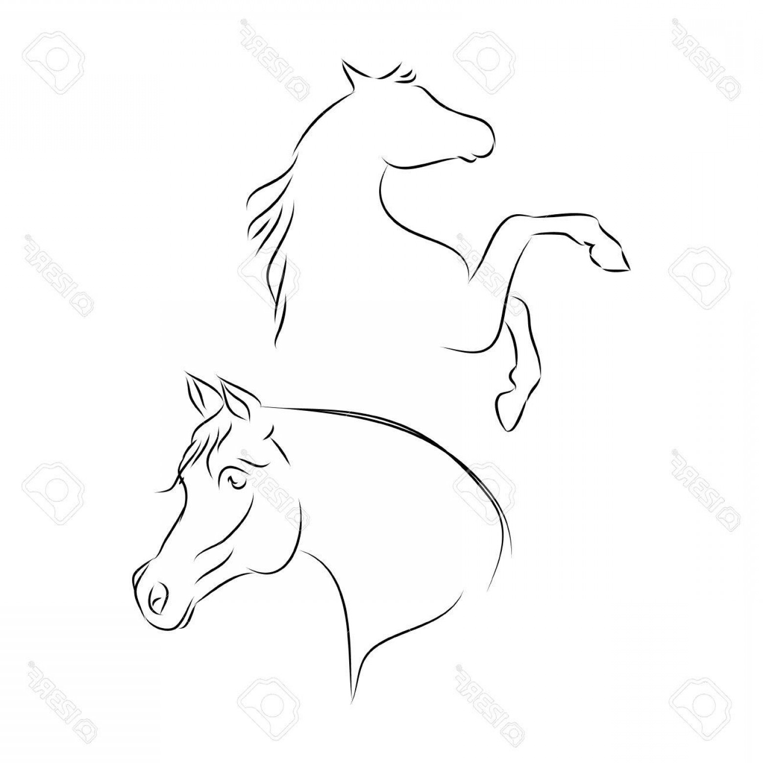 1560x1560 Horse Outline Vectors Catamart