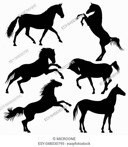 430x495 Illustration Arabian Horse Stock Photos And Images Age Fotostock