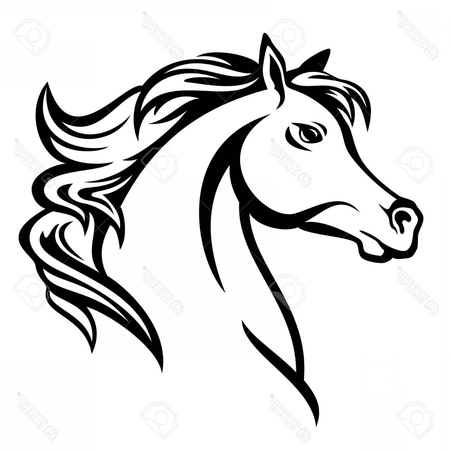 Arabian Horse Vector at Vectorified.com | Collection of Arabian Horse ...